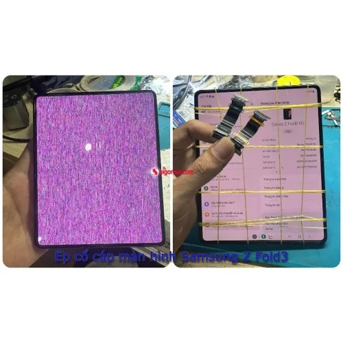 Ép cổ cáp màn hình Samsung  Z Fold3